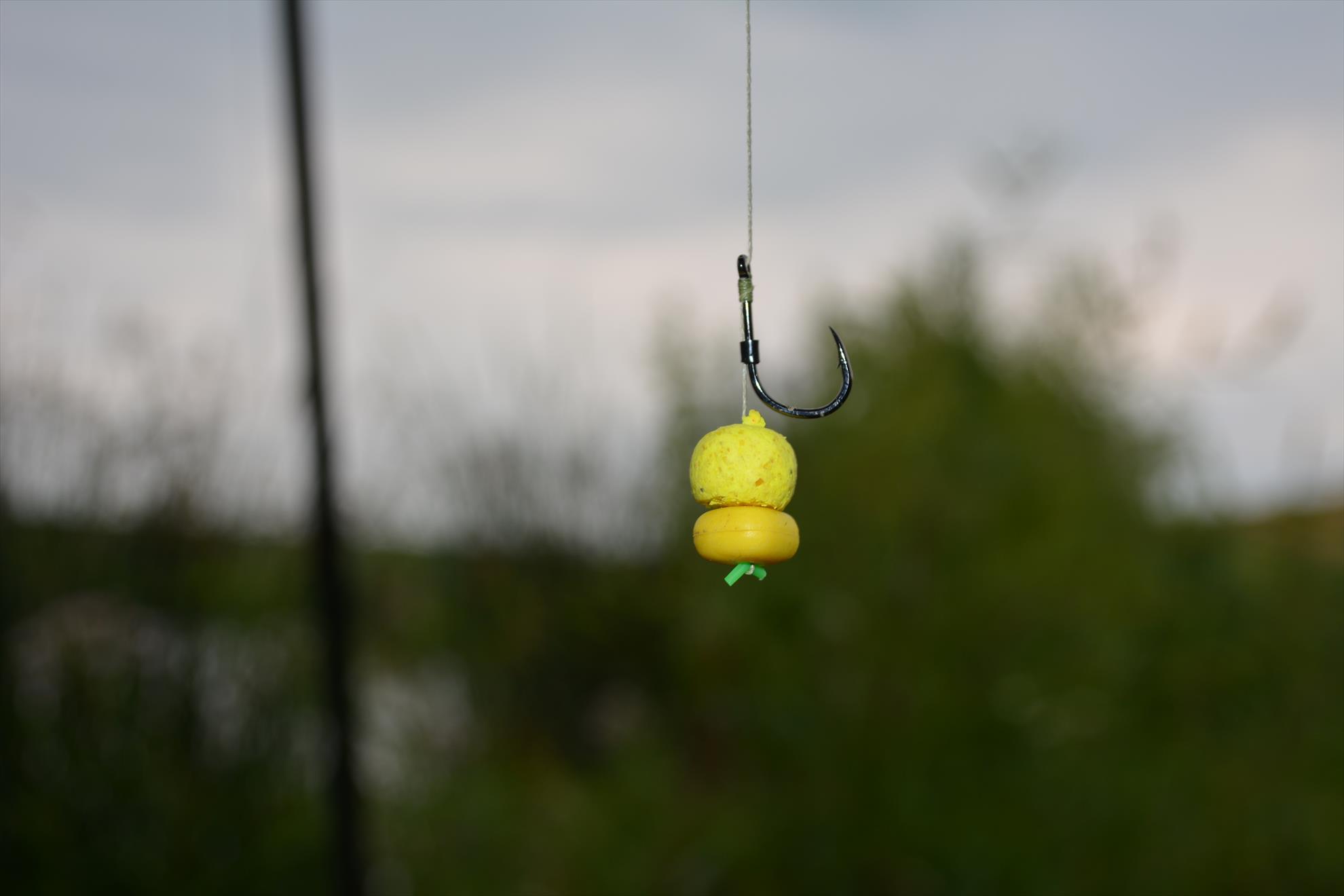 Magura 9 14-15.06.14 - dsc023111.JPG